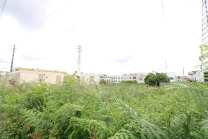 aglq4xujgeuye3cti4w98.jpg