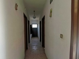vqm5a3ao7iqh1h41dc87.jpeg