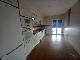 cji59ds6s9ptpj8uhqx7e.jpg