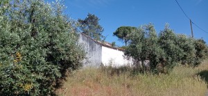 4pupi12j24399sfkf3vzqr.jpg