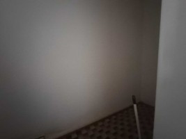 zf7ymgvup7jgrfmi4lq8ci.jpg