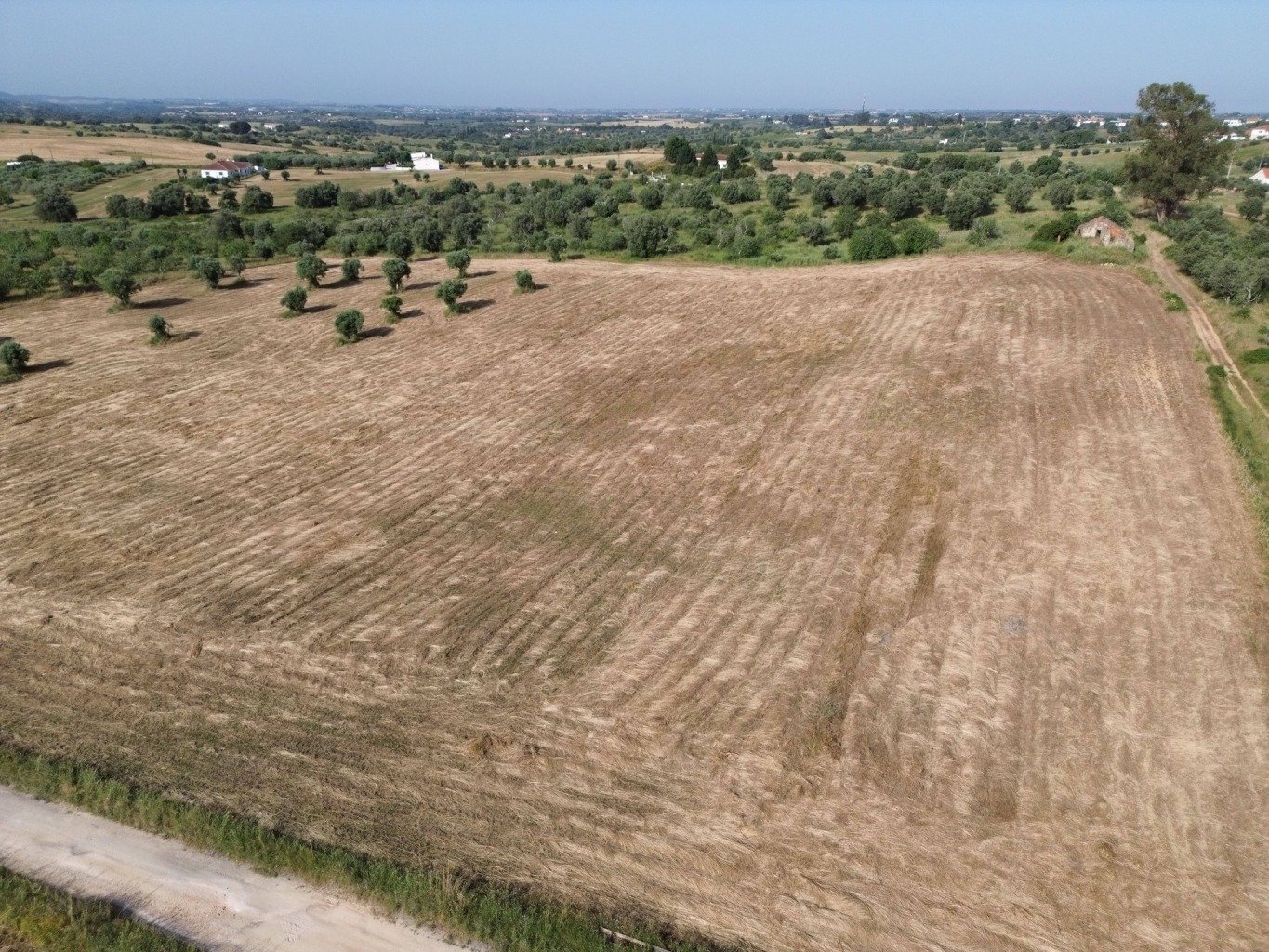 oad2mkq75312oz0tzil9.jpg
