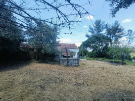 8mdmy5piguwu2bfonl5m6m.jpg