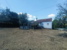 bghr88eiiv8spyp1jlog7n.jpg
