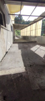 dgnl75hcsmb2jdw7w1qxqi.jpeg