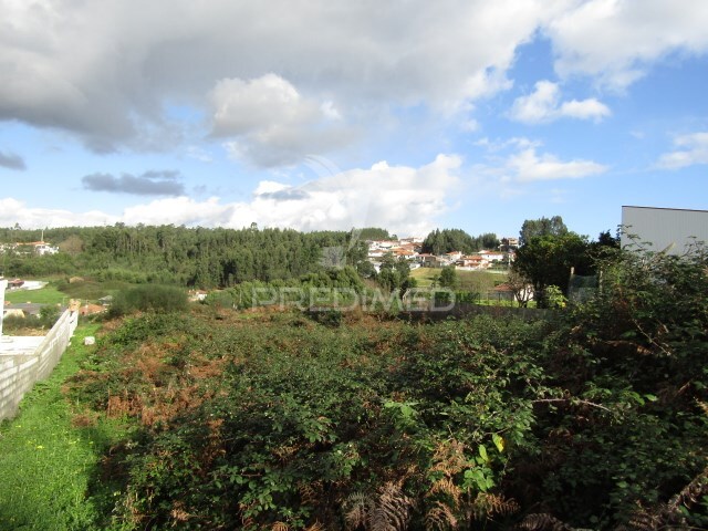 Terreno Urbano