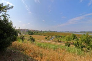 8k44lyzhi6633t1wrfs9rl.jpg