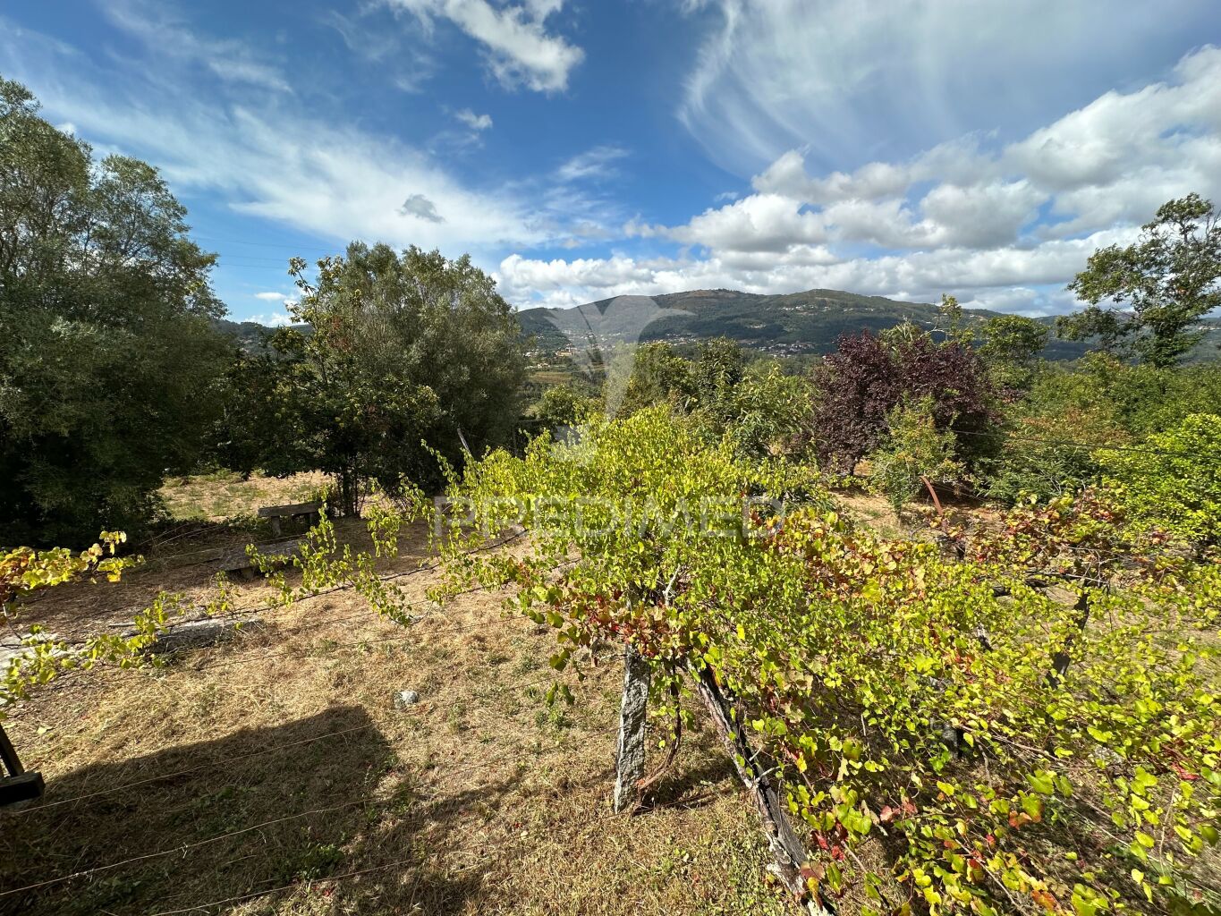 Terreno