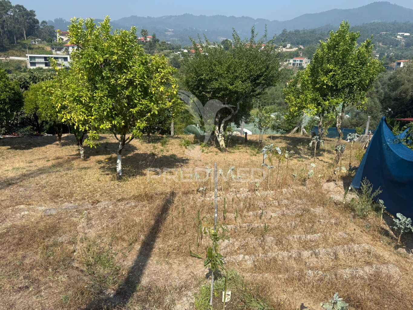 Terreno Rústico
