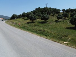 i4fqunujy79035y9ghgo19.jpg