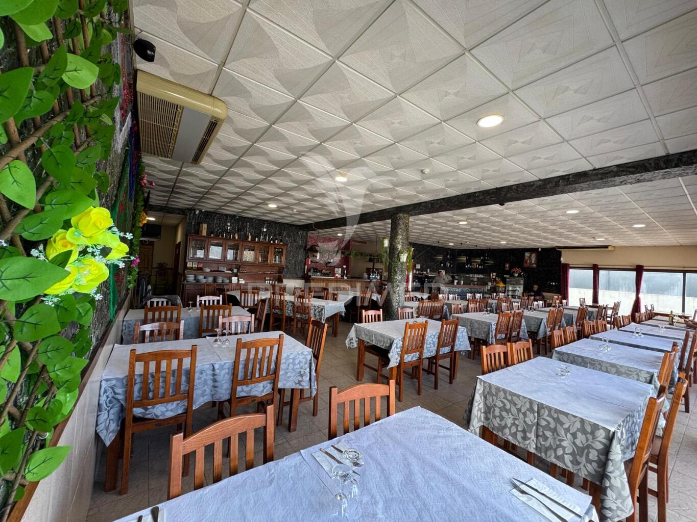 Bar/Restaurante