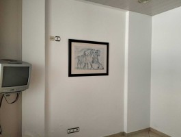 z1yrfvp0zrscdf66hh2474.jpg