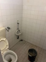 7d37s62vnsruo4e8xvubl.jpg