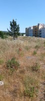 745x0zoy14qtft1977cbv.jpg
