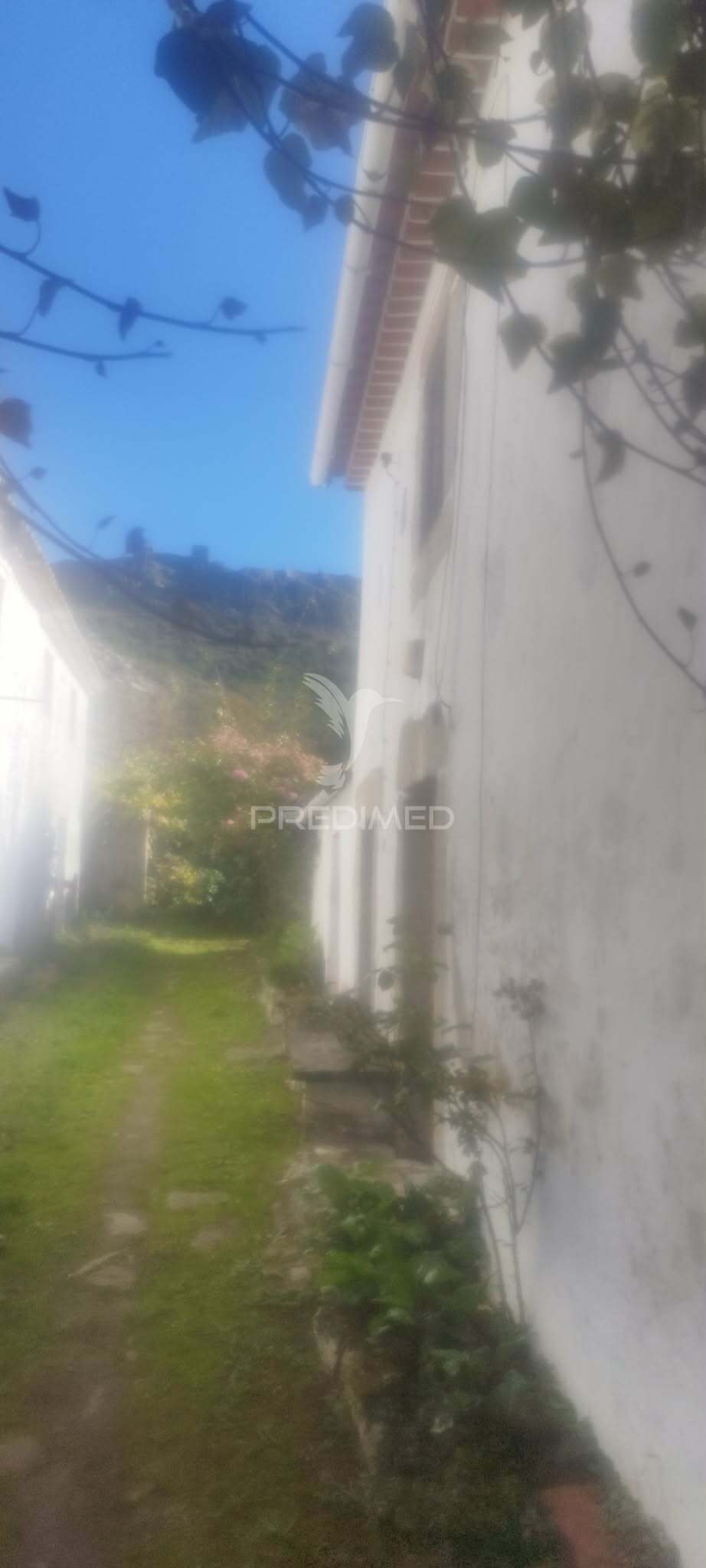 Quinta Agrícola T4 + 1