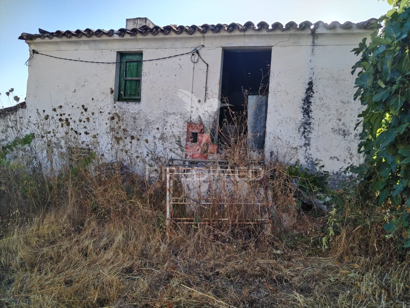Quinta