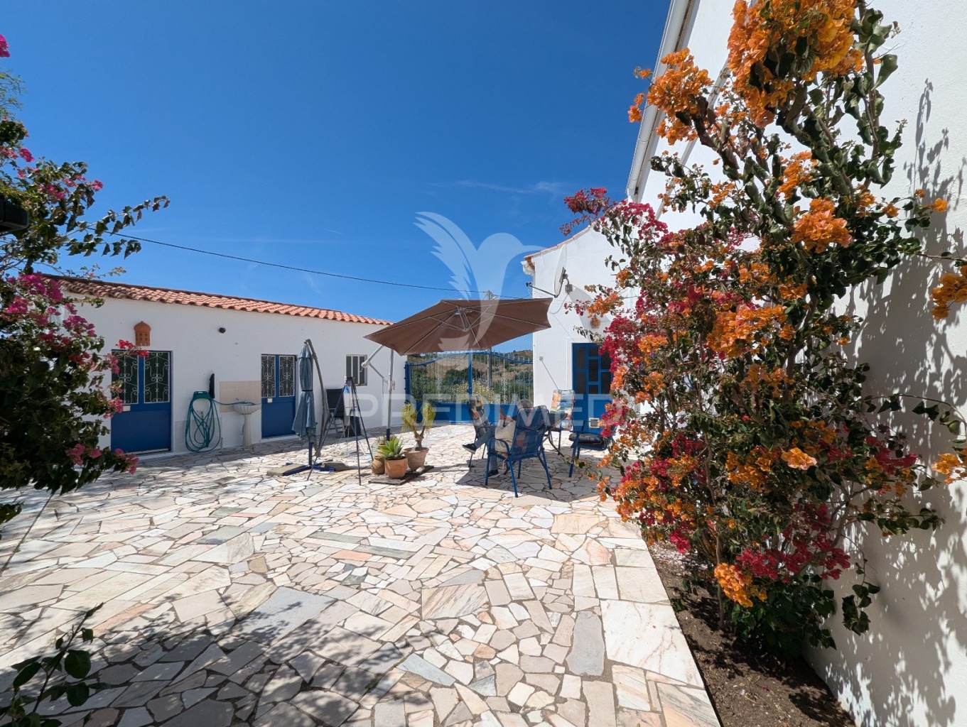 Quinta T5