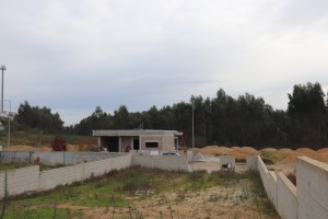 8x6vlm145yxlnczxi7fq3.jpg