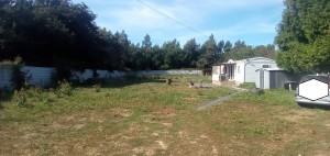 klr5v54qa8ou0k6pcg6ho.jpg