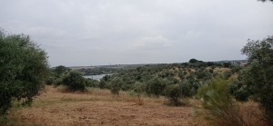 ijruec44p7ru1yphl0i0a.jpg
