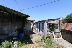 g0f1piud22dpmiaj86pyd.jpg