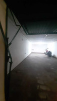 y1mausbum2bl8qbanxl79.jpg