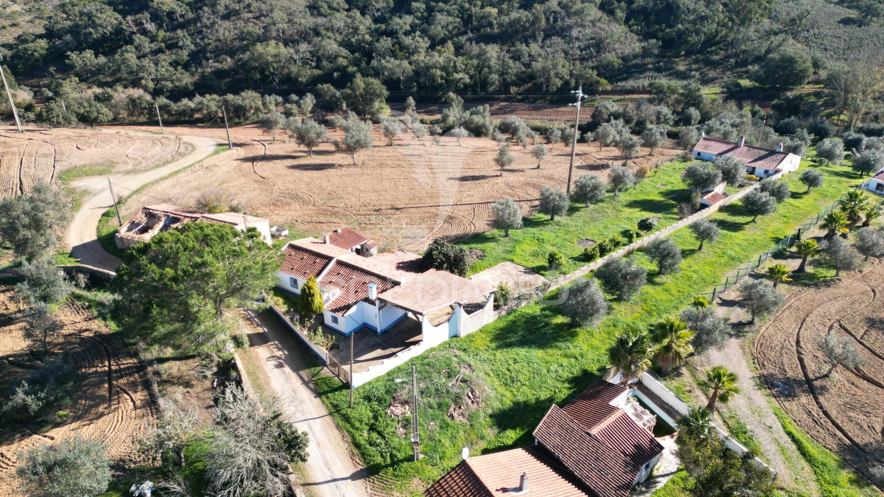 Quinta T4