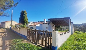 7euw078vhx3xoysdrniy8a.jpg