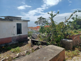 tojwrzmcb68a26l669x6m8.jpg