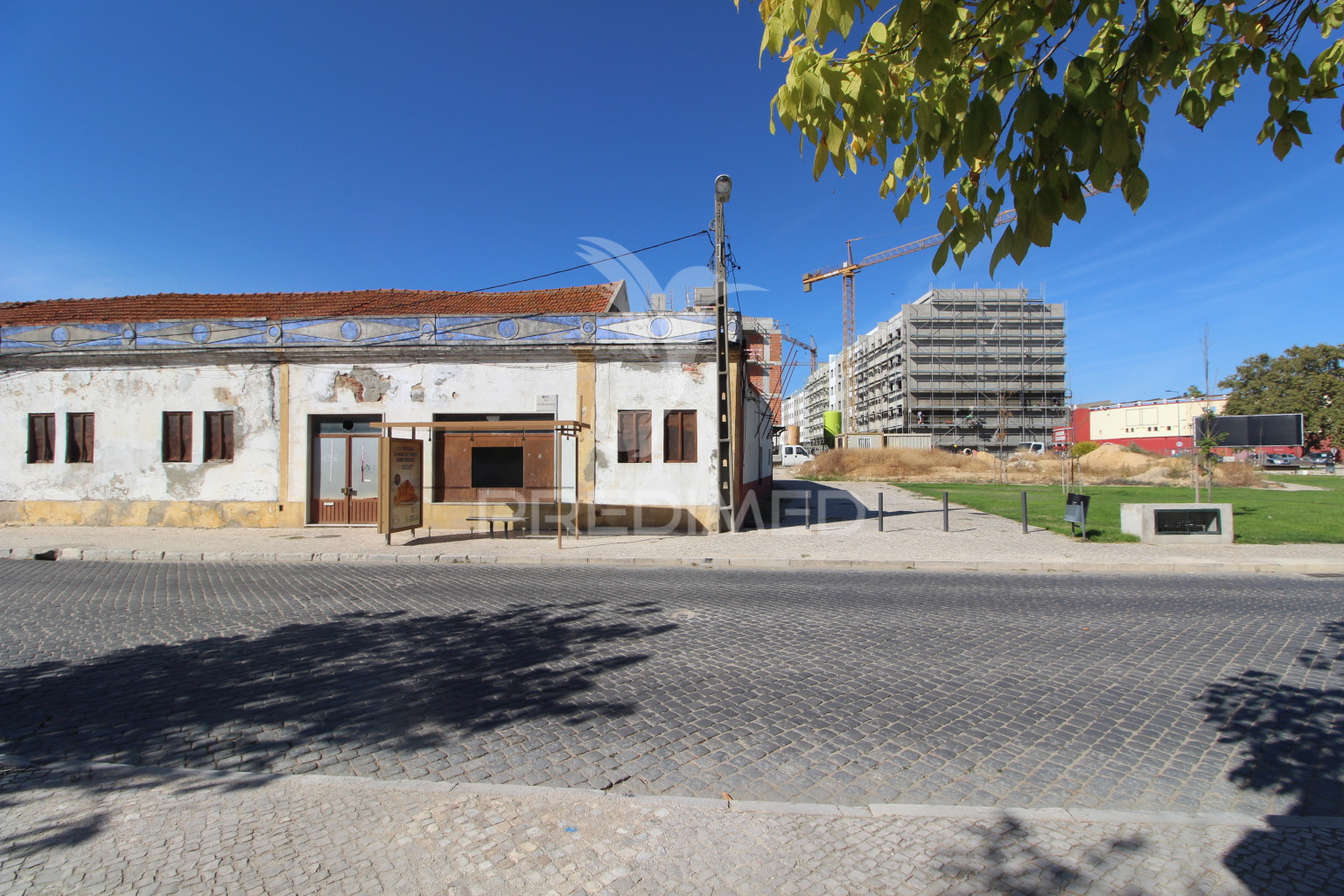 Terreno