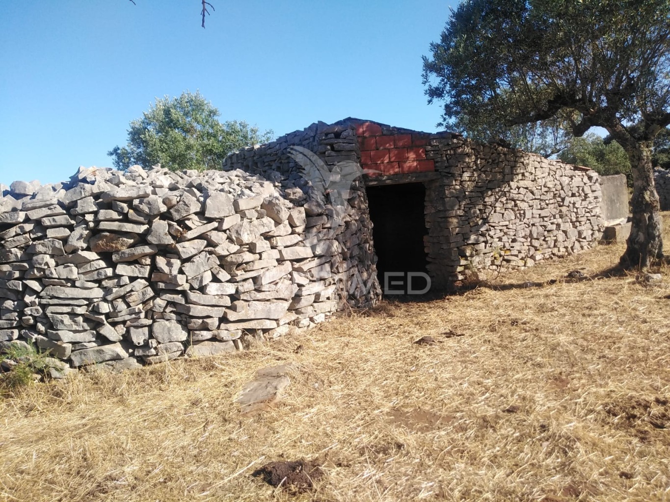 Terreno Rústico