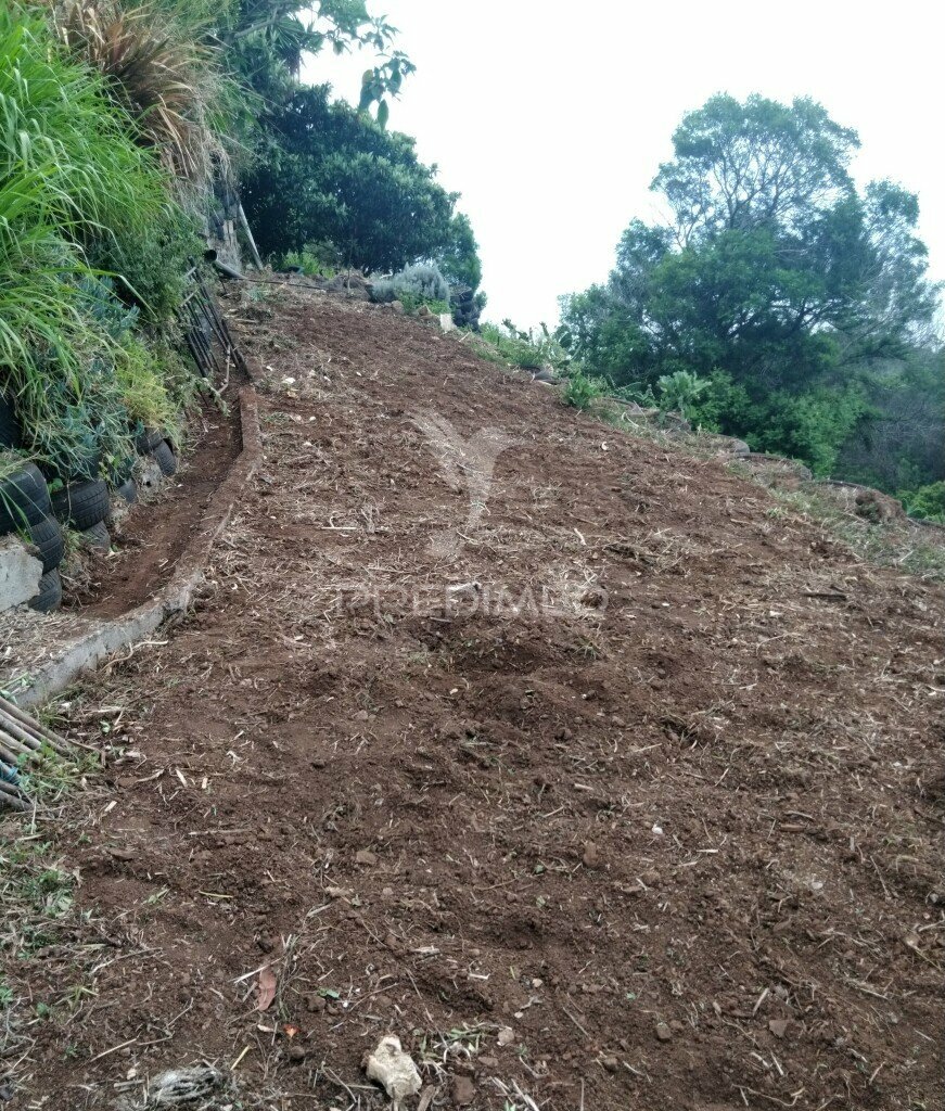 Terreno Rústico