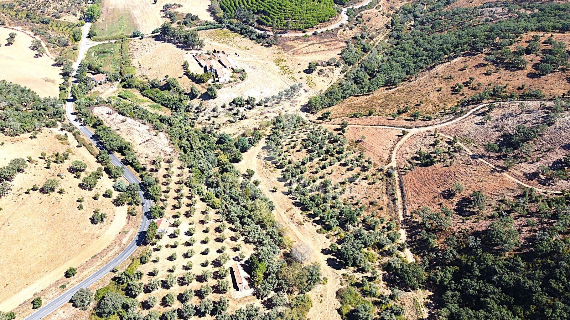 Herdade