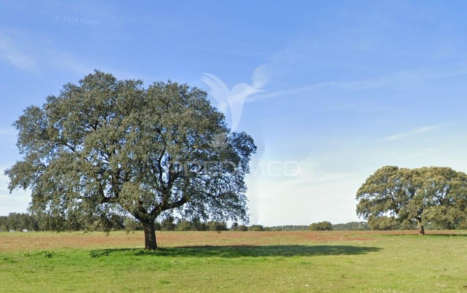 Herdade