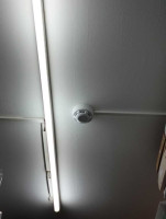 y8j329gb7ri3x7l99ysq14.jpg
