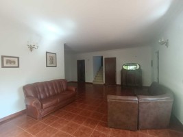 2wpwl942kx1yncgc5j8ip.jpg