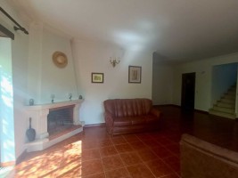 5cxocagpukko0954hdqpe.jpg