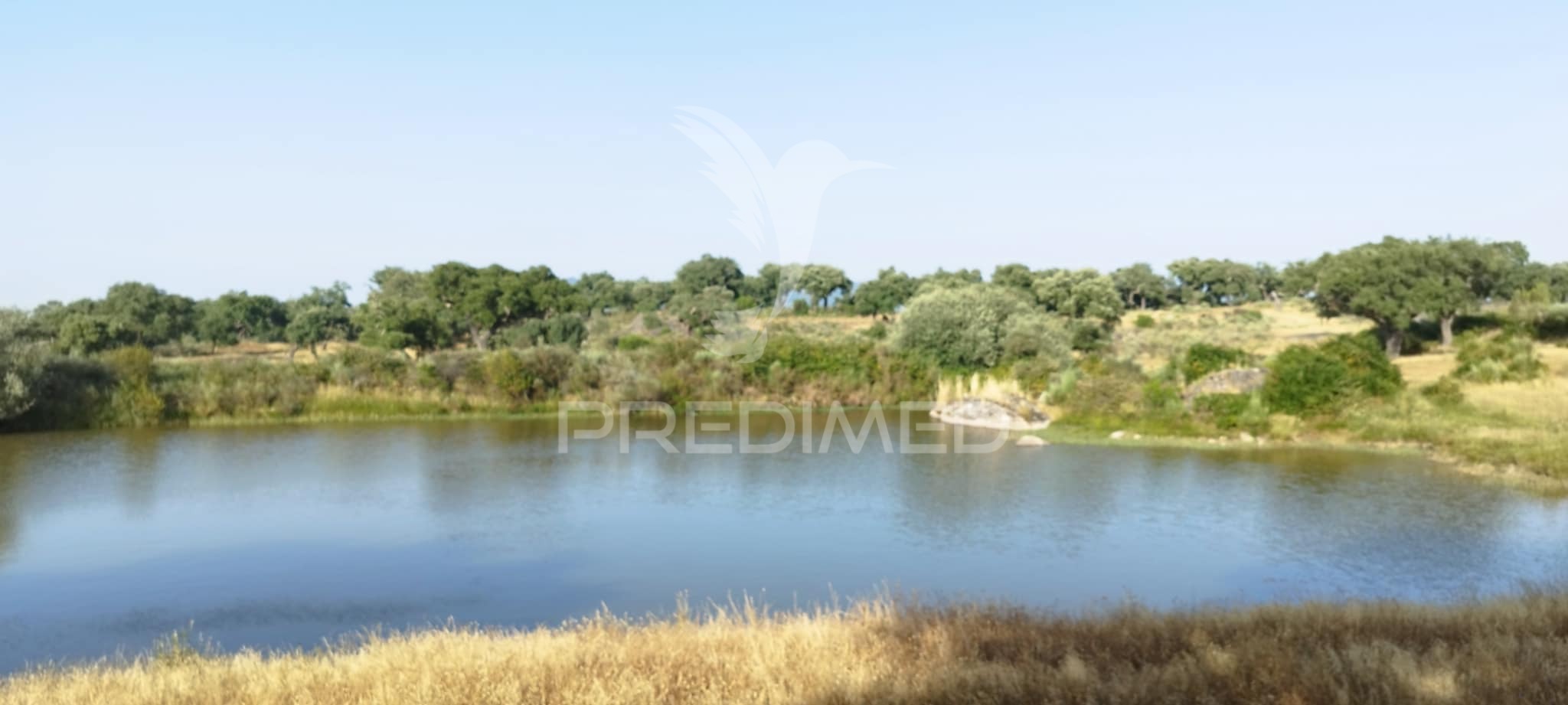 Herdade