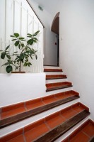 sxqfinx89vek8fb389y9f.jpg