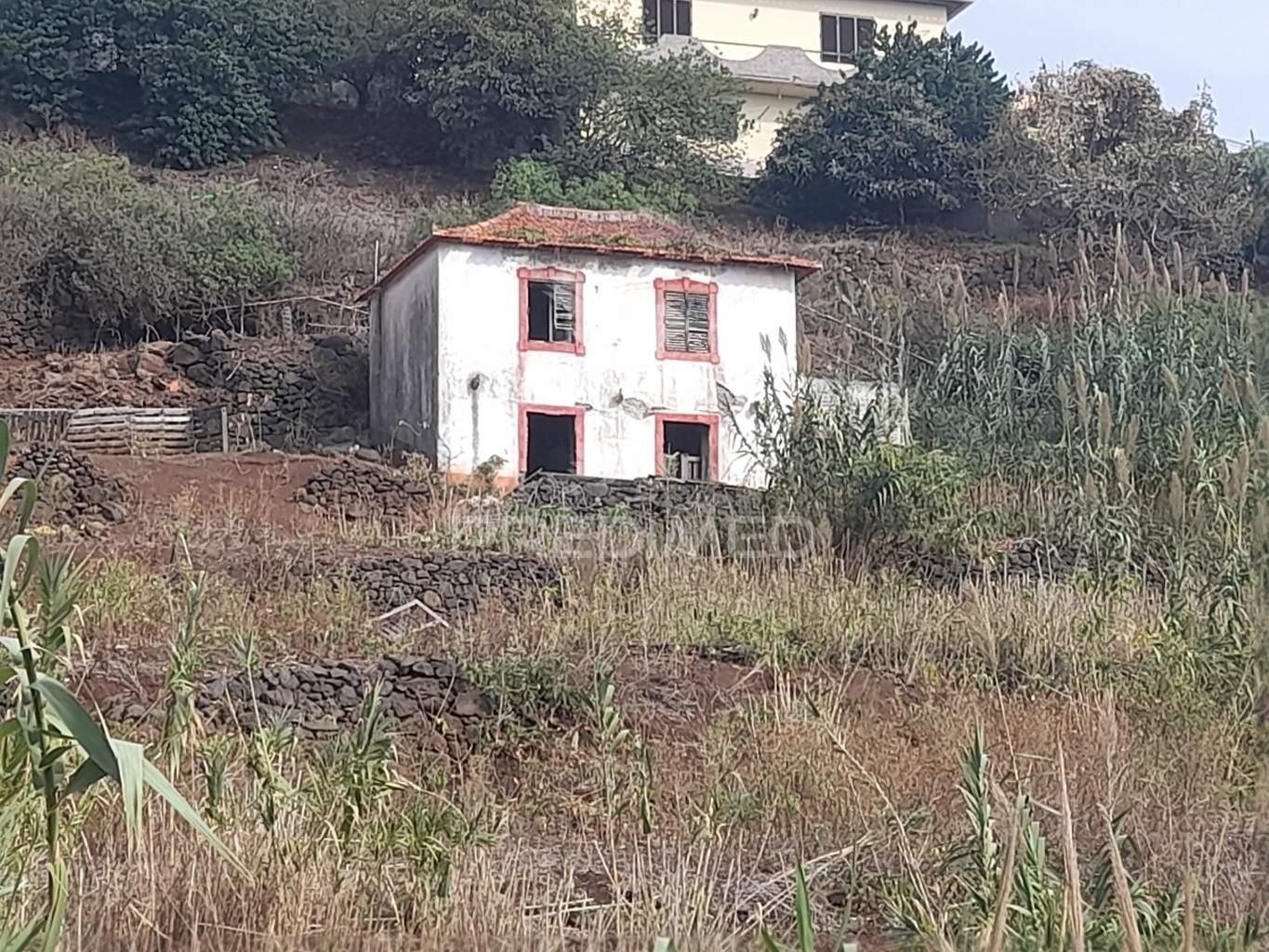 Terreno Misto