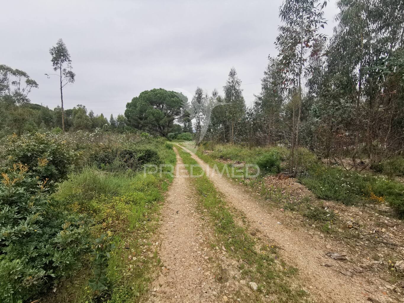 Terreno Misto