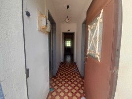 j1dnn3nzqldhwm6afp11b.jpg