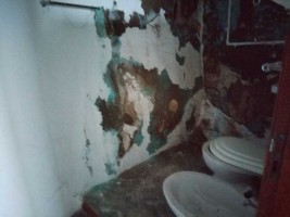8tebqrb9cvoi3n8m22lq1.jpg