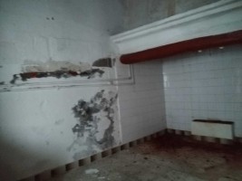 9t68fu7bbmhm2a93juzfr.jpg