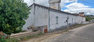 wxp5liri81glf0a3wh6m.jpg