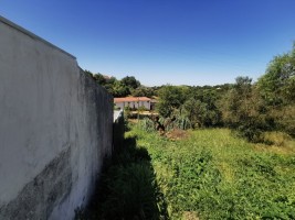 cnjl9msg6zl42122f1dwo9.jpg