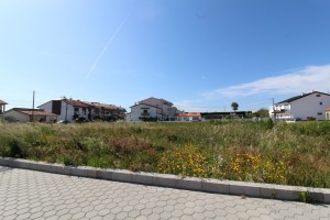 s0uiiscd87a39z5521wd.jpg