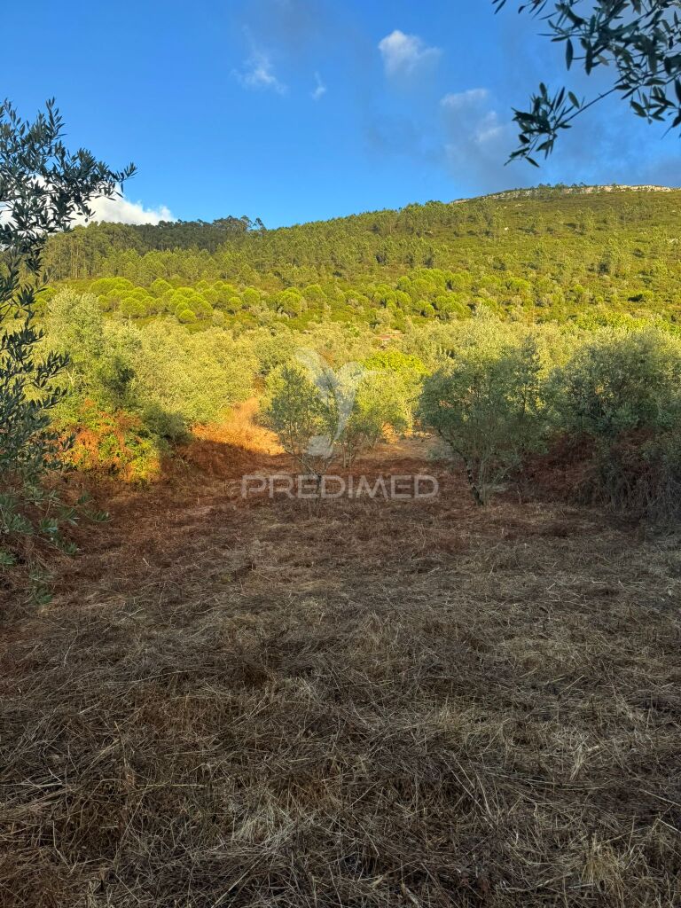 Terreno