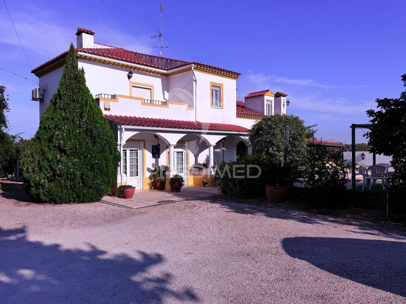 Quinta T8