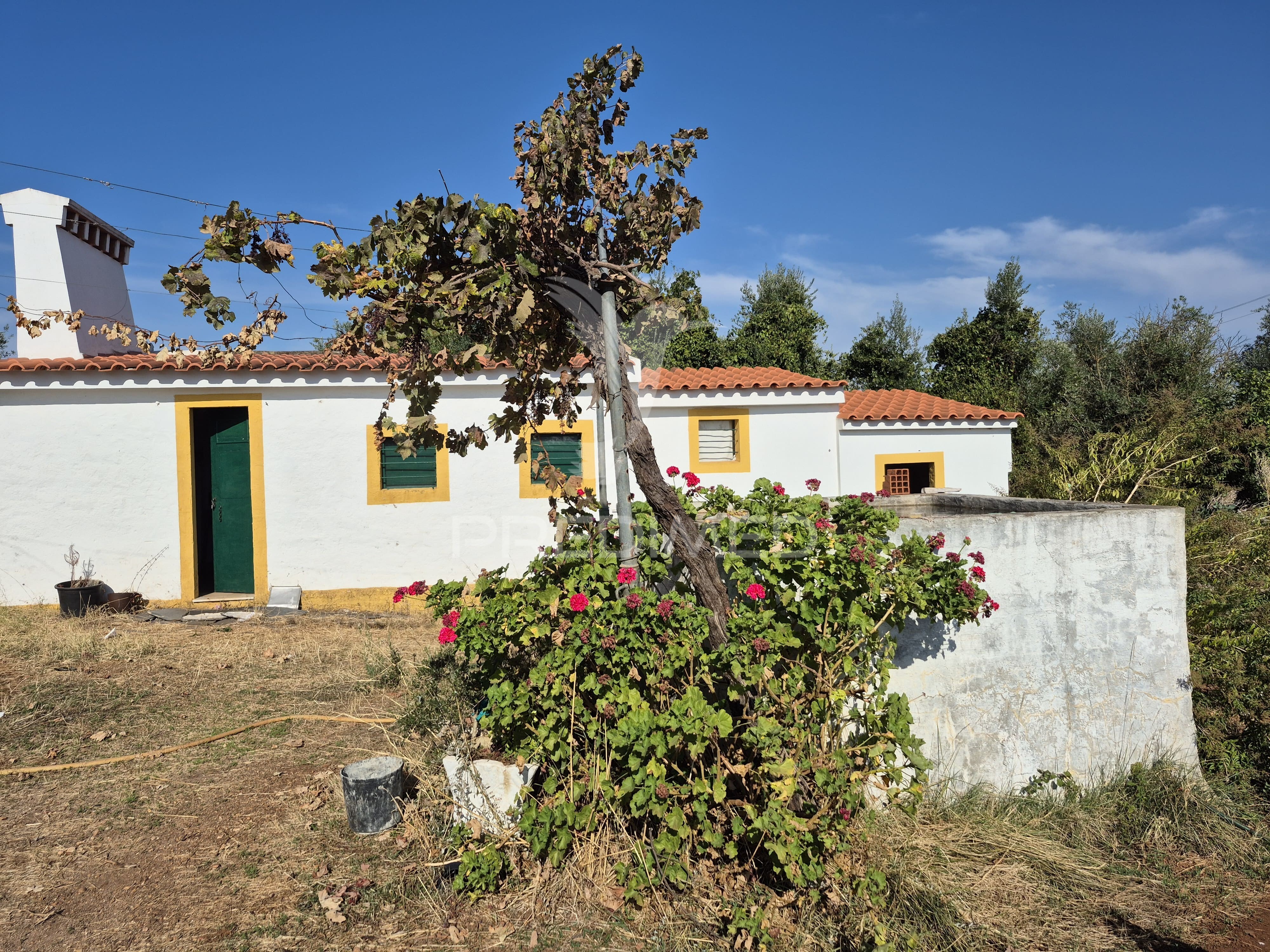 Terreno Rústico